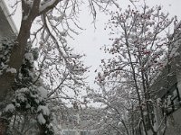 photo039