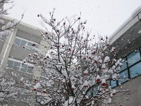 photo040