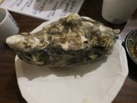 IMG 0171