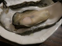 IMG 0173