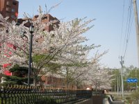 IMG 0363