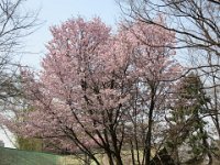 IMG 0364