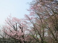 IMG 0368