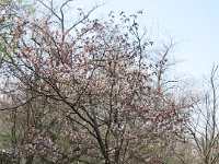 IMG 0375