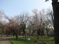 IMG 0379
