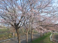 CIMG0031