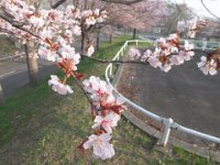 CIMG0032