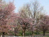 IMG 0346