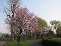 IMG 0360