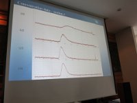 IMG 0460