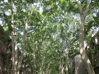 IMG 0728