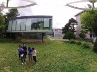 DJI00081