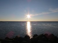 IMG 0064