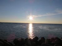 IMG 0070