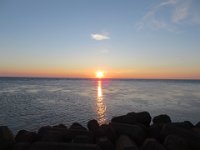 IMG 0093