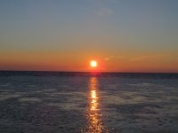 IMG 0097