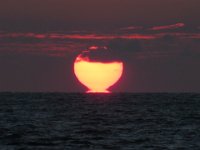 IMG 0119