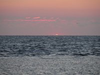 IMG 0137