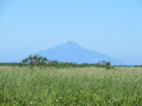 IMG 0206