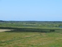 IMG 0217