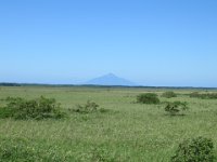 IMG 0227