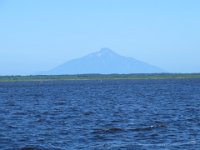 IMG 0234