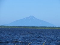IMG 0238