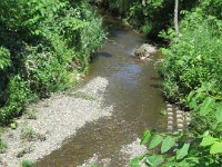 IMG 0280