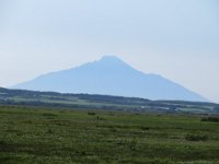 IMG 0286