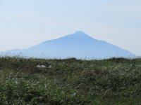 IMG 0299