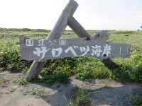 IMG 0300