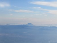 IMG 0317