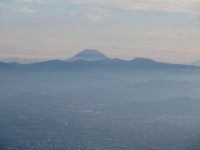 IMG 0335