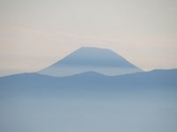 IMG 0337