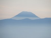 IMG 0338
