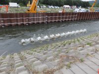 IMG 0040