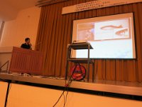 IMG 0267