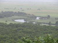 IMG 0115