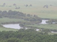 IMG 0115 1