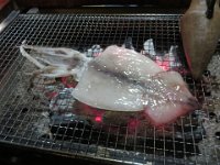 IMG 0154