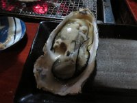 IMG 0177