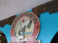 IMG 0052