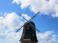 IMG 0370