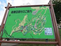 IMG 0387