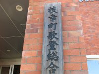 IMG 0411