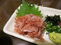 IMG 0454