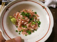 IMG 0455
