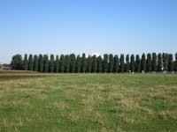 IMG 0579