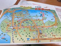 IMG 0599