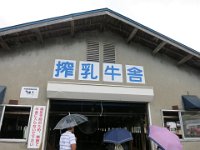 IMG 0623